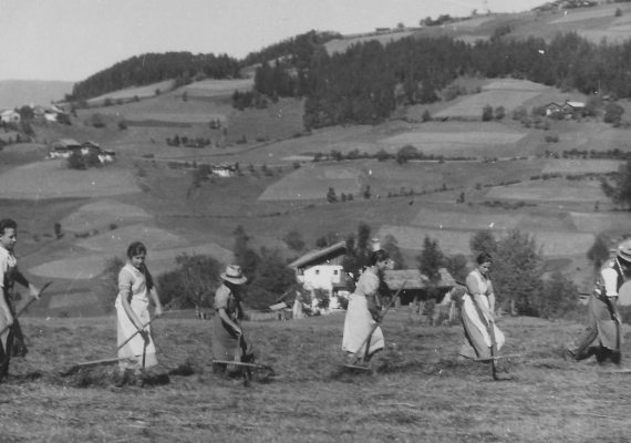 Historischer Bauernhof mit Heuarbeit am Feld Ganoihof